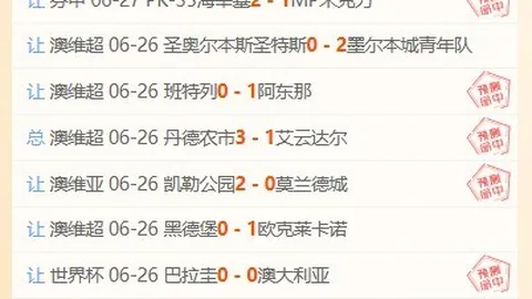 波黑战意：舒尼奇谈哲科关键作用，球队未来展望