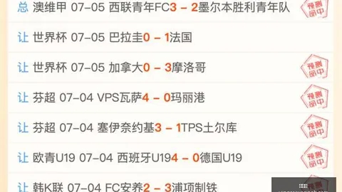 独家粉丝连续7周狂揽胜利，必胜策略大公开