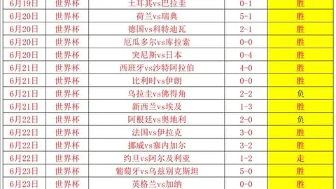 赢彩网 061001